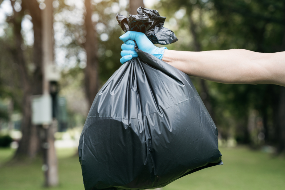 World Clean Up Day 2024 : rejoignez-nous pour 4 sessions de ramassage de déchets à Courbevoie