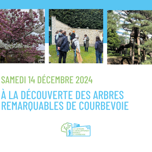 [Agenda] À la découverte des arbres remarquables de Courbevoie, samedi 14 décembre