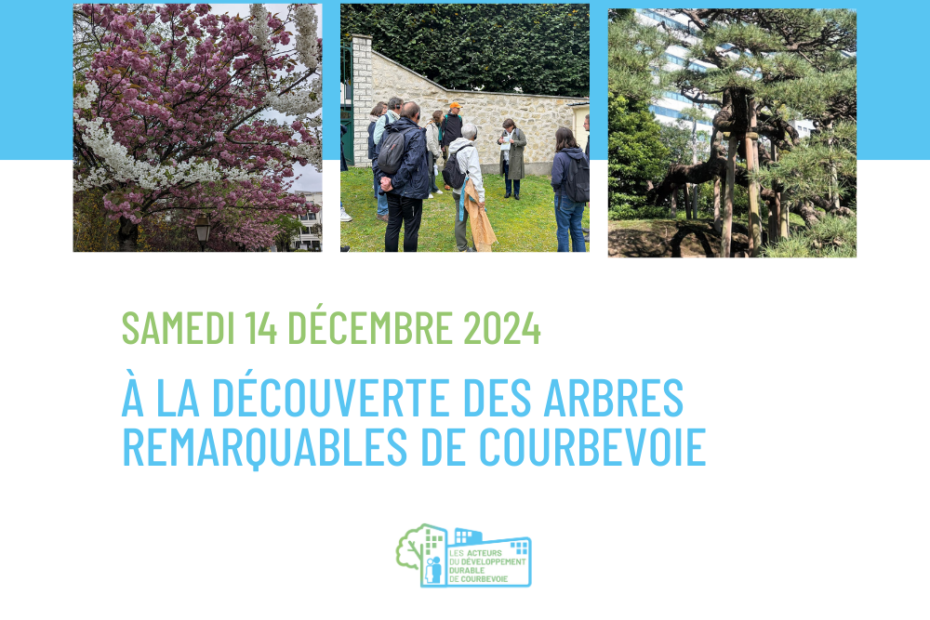 [Agenda] À la découverte des arbres remarquables de Courbevoie, samedi 14 décembre