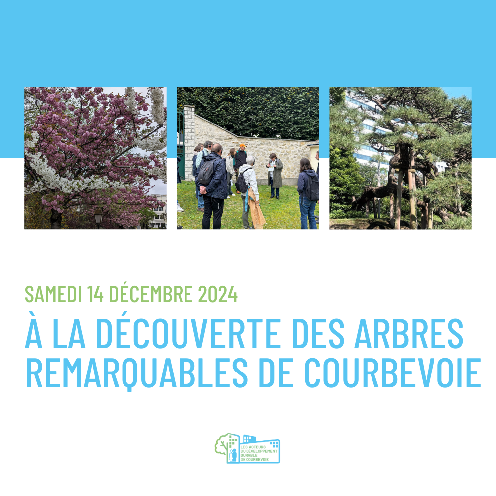 [Agenda] À la découverte des arbres remarquables de Courbevoie, samedi 14 décembre